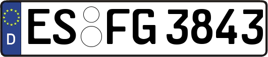 ES-FG3843