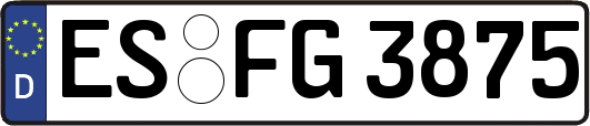 ES-FG3875