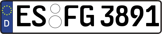 ES-FG3891