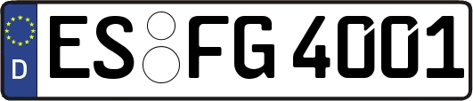 ES-FG4001