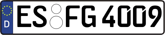 ES-FG4009