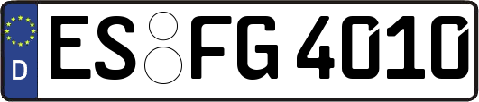 ES-FG4010