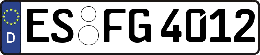 ES-FG4012