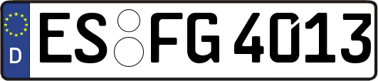 ES-FG4013
