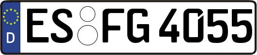 ES-FG4055