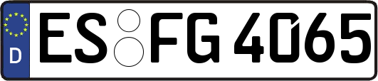 ES-FG4065