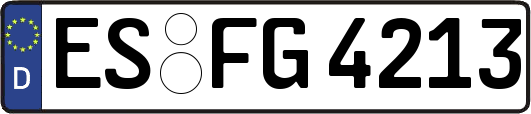ES-FG4213
