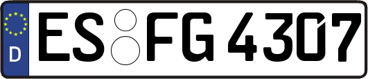 ES-FG4307