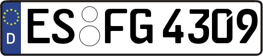ES-FG4309