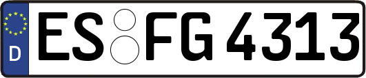 ES-FG4313