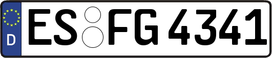ES-FG4341