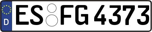 ES-FG4373