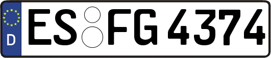 ES-FG4374