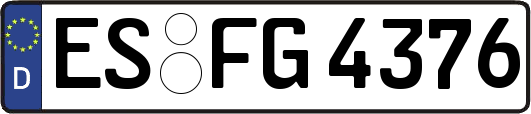 ES-FG4376