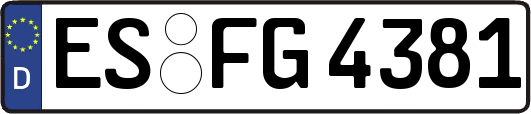 ES-FG4381