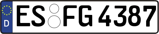 ES-FG4387