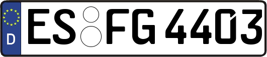 ES-FG4403
