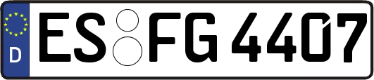 ES-FG4407