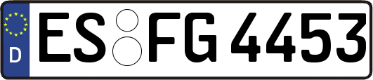ES-FG4453