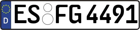 ES-FG4491