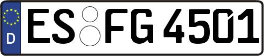 ES-FG4501