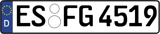 ES-FG4519