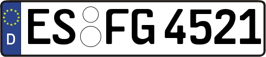 ES-FG4521