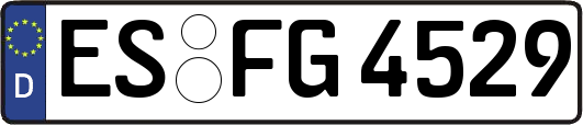 ES-FG4529