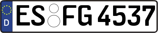 ES-FG4537