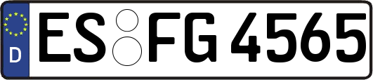 ES-FG4565