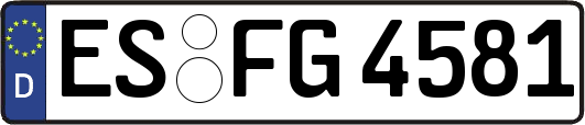 ES-FG4581