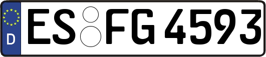 ES-FG4593