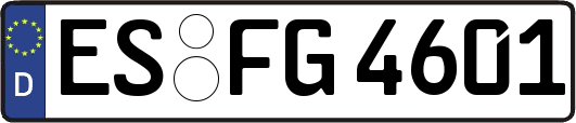 ES-FG4601