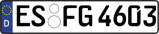ES-FG4603