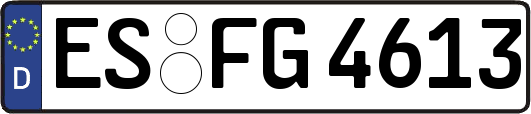 ES-FG4613