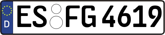 ES-FG4619