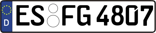 ES-FG4807