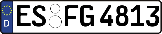 ES-FG4813