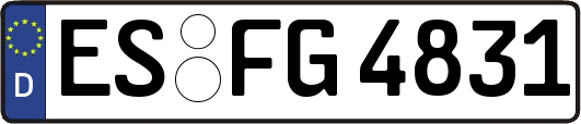 ES-FG4831