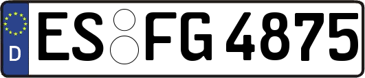 ES-FG4875