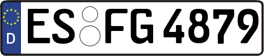 ES-FG4879