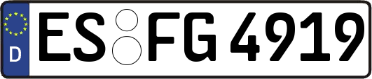 ES-FG4919