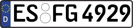 ES-FG4929