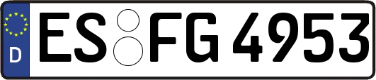 ES-FG4953