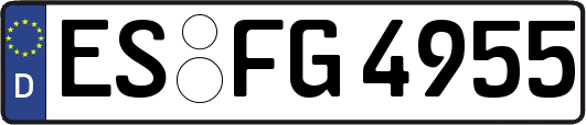 ES-FG4955