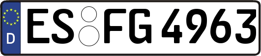 ES-FG4963