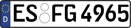 ES-FG4965