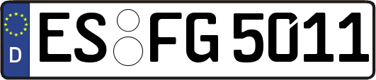 ES-FG5011