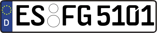 ES-FG5101