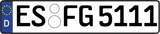 ES-FG5111